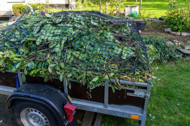 Best Yard Waste Removal  in Bloomfield, IN